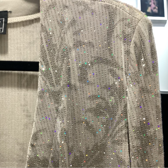 Alex Evenings Beige Paisley Shimmer Jacket, Size 10P - Picture 4 of 5